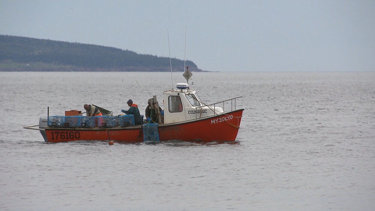On voit un bateau avec trois hommes à bord. Ils pêchent le homard. Des casiers se trouvent dans le bateau.
