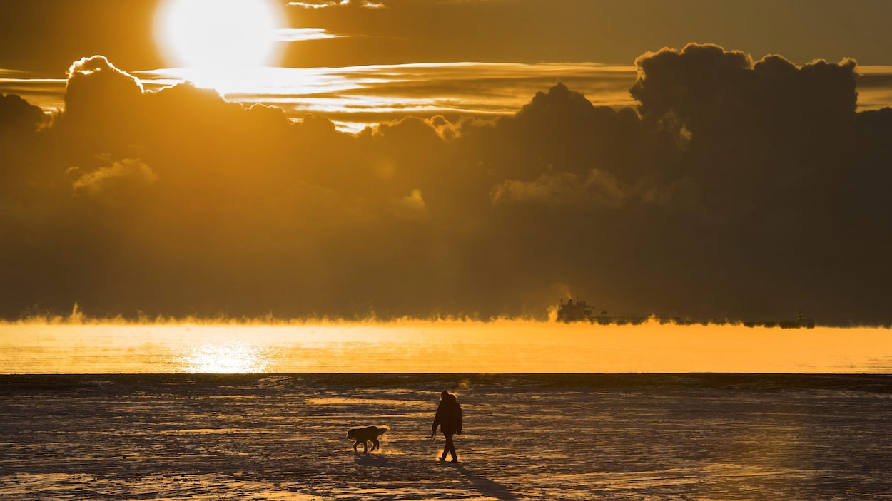 Un homme marche avec son chien sur une plage couverte de neige près de Toronto.