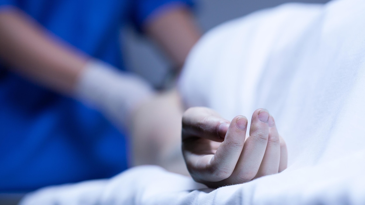 Un médecin examine un patient sur une civière.