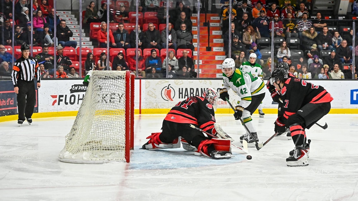 Les Huskies et les Foreurs de retour au travail