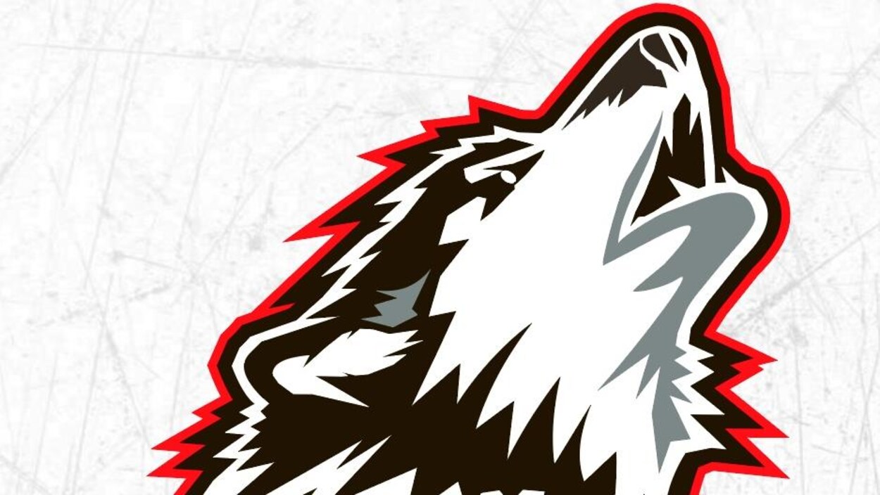 Image d'un chien-loup.