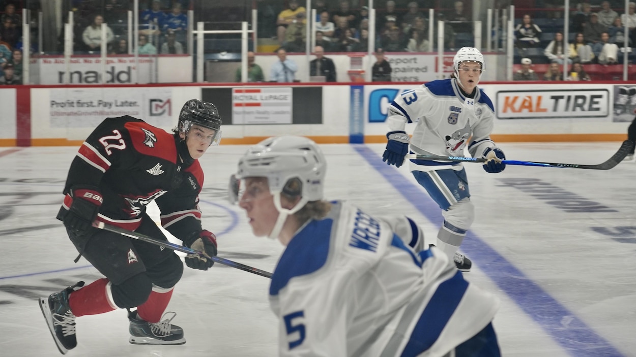 Wolves-Huskies: un duel qui attire les foules à Timmins