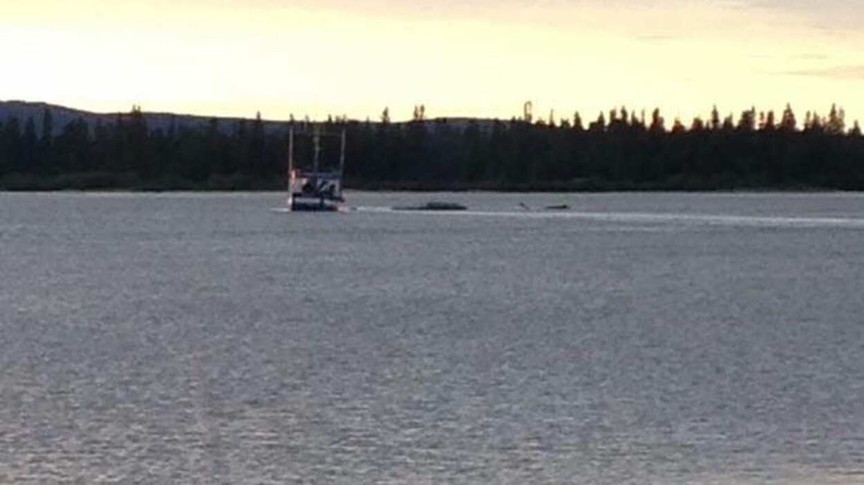 L'hydravion renversé dans le port de Happy Valley-Goose Bay L'hydravion renversé dans le port de Happy Valley-Goose Bay