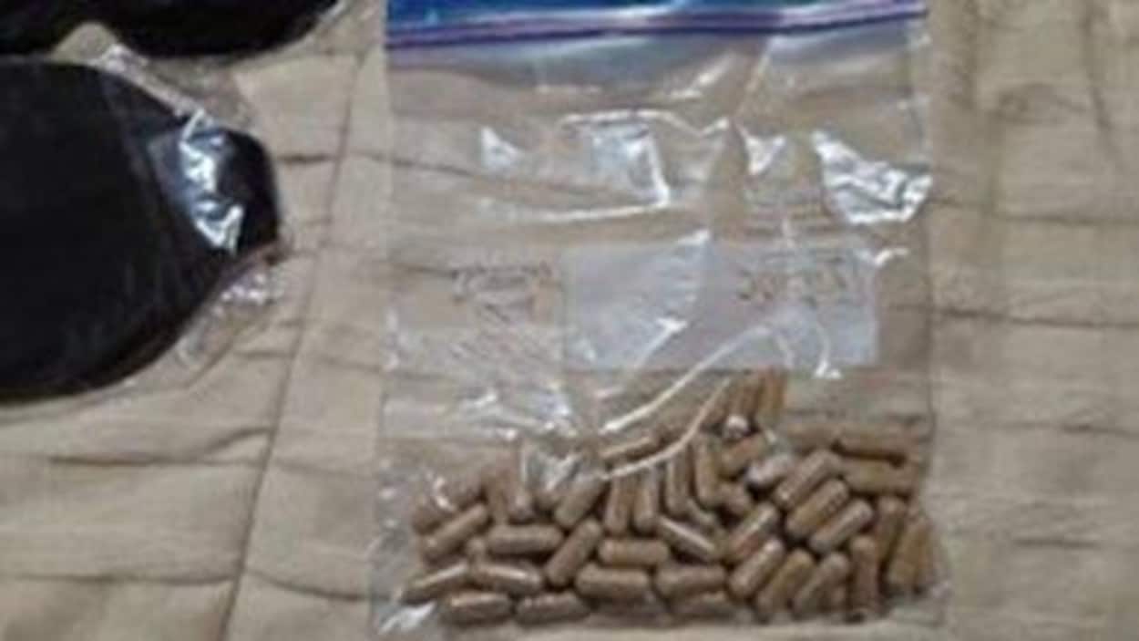 Rituel de guérison mortel avec l’ibogaïne : la police met en garde le public