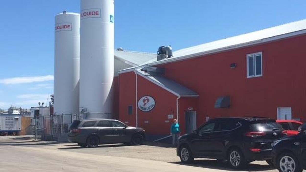 Des voitures garées devant l'usine