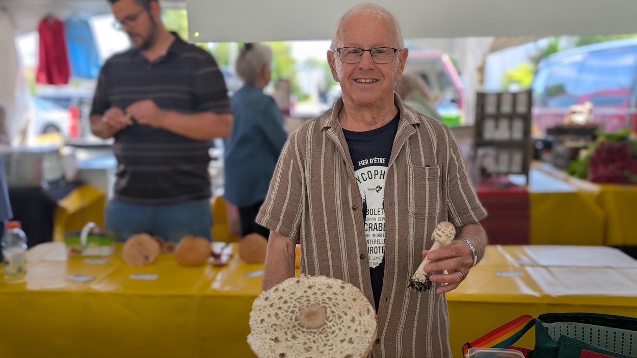 Des mycologues amateurs identifient des champignons au marché public de Rouyn-Noranda