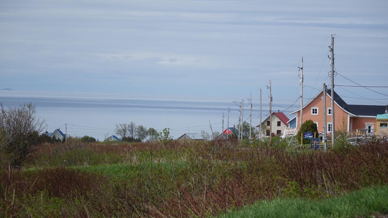 L'ordre de confinement de l'Île Verte doit être levé, demande la