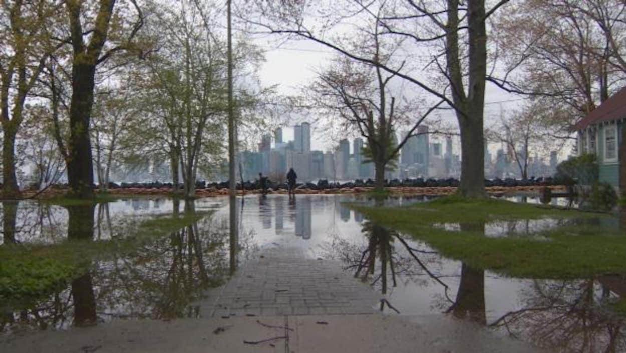 Inondations sur les Îles de Toronto Inondations sur les Îles de Toronto