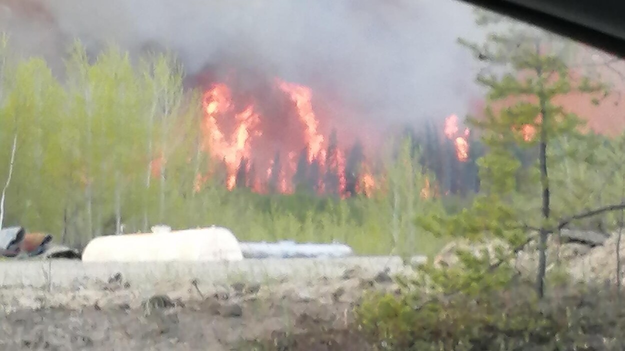 Un incendie de forêt.