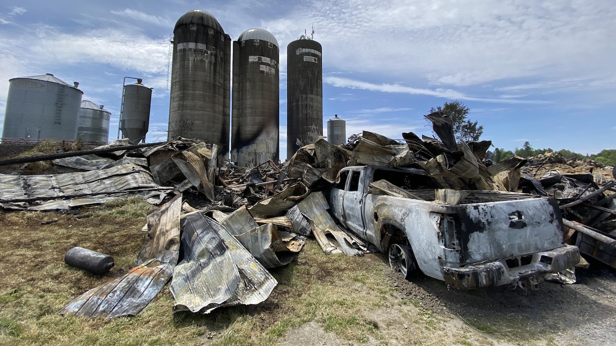 Cri du cœur pour les animaux d’élevage morts dans un incendie
