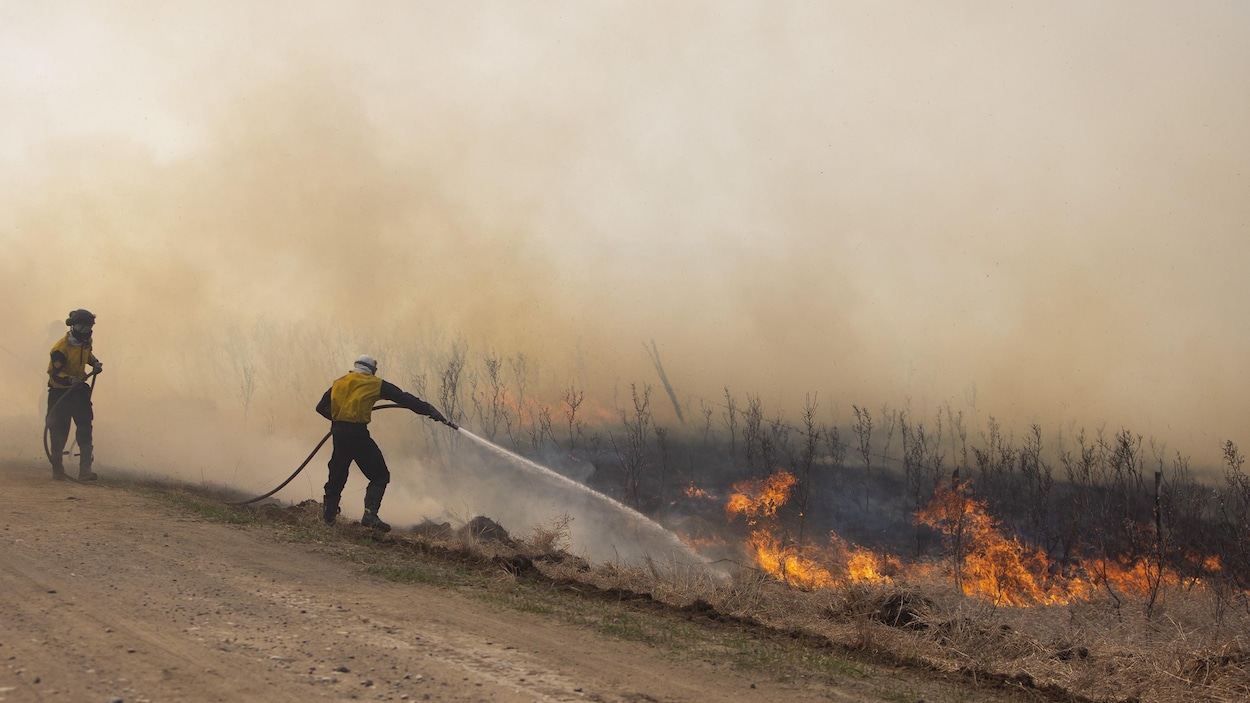 Des pompiers tentent de maîtriser un feu de broussailles près de Biggar, en Saskatchewan.