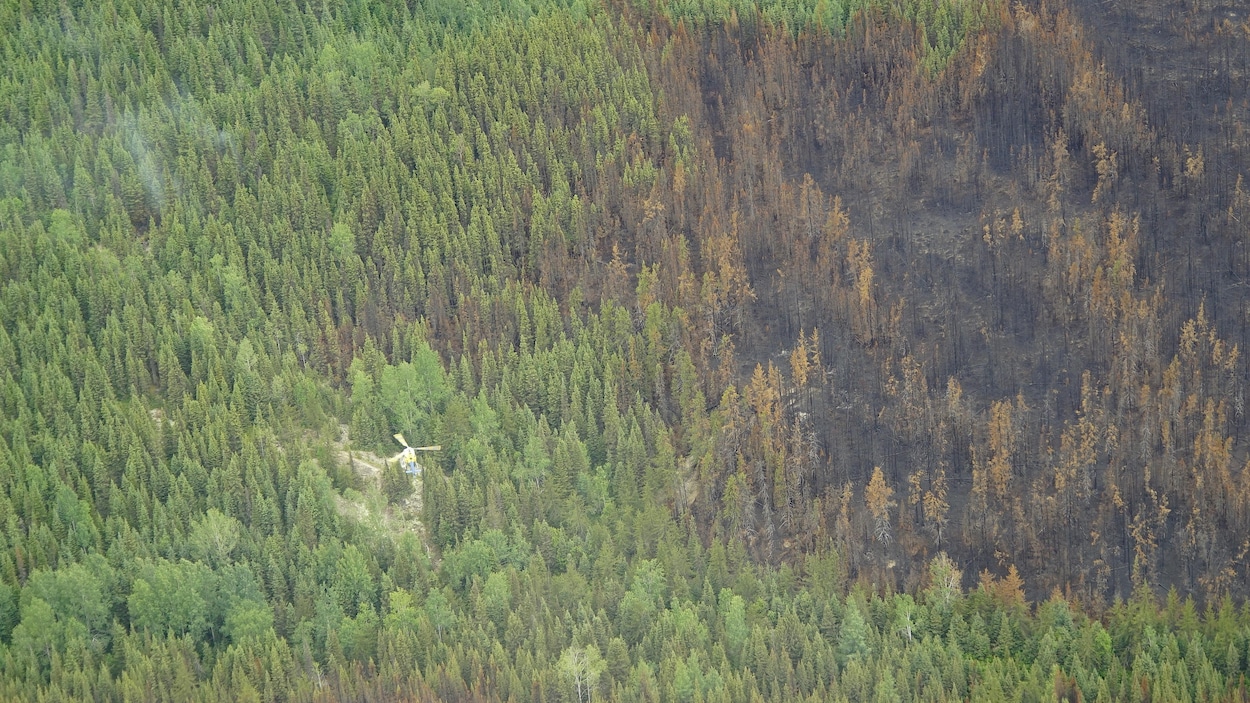 Vue aérienne d'une forêt ravagée par un incendie. Il n'y a plus de flammes, seulement un peu de fumée qui s'échappe de la forêt. Un hélicoptère survole les lieux. Vue aérienne d'une forêt ravagée par un incendie. Il n'y a plus de flammes, seulement un peu de fumée qui s'échappe de la forêt. Un hélicoptère survole les lieux.