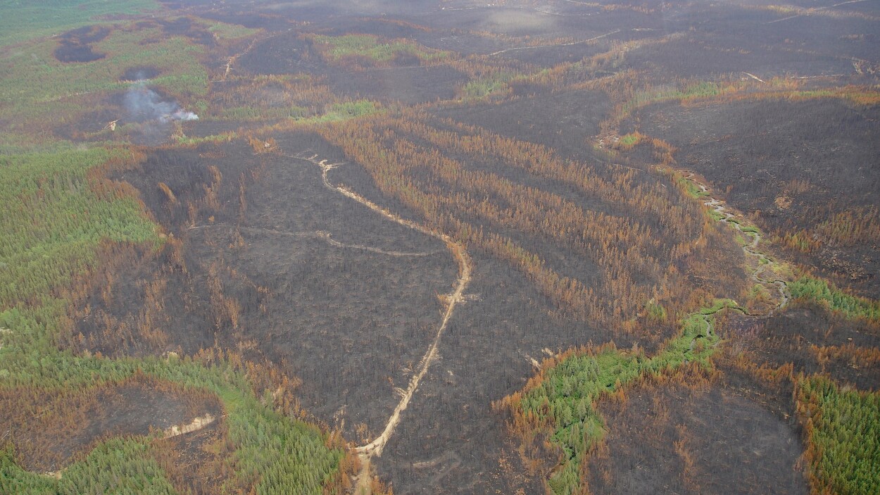 Vue aérienne sur des taches de forêt brûlée.On voit des parcelles de forêt qui ne sont pas touchée par l'incendie, mais la majeure partie de l'image est occupée par une forêt incendiée.
