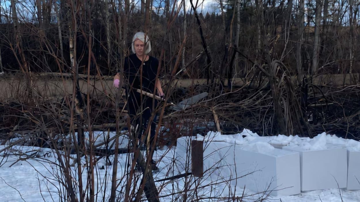 Après un incendie dévastateur, une communauté replante plus de 30 000 arbres
