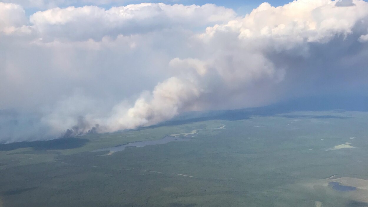 Photo d'un feu de forêt prise du ciel.