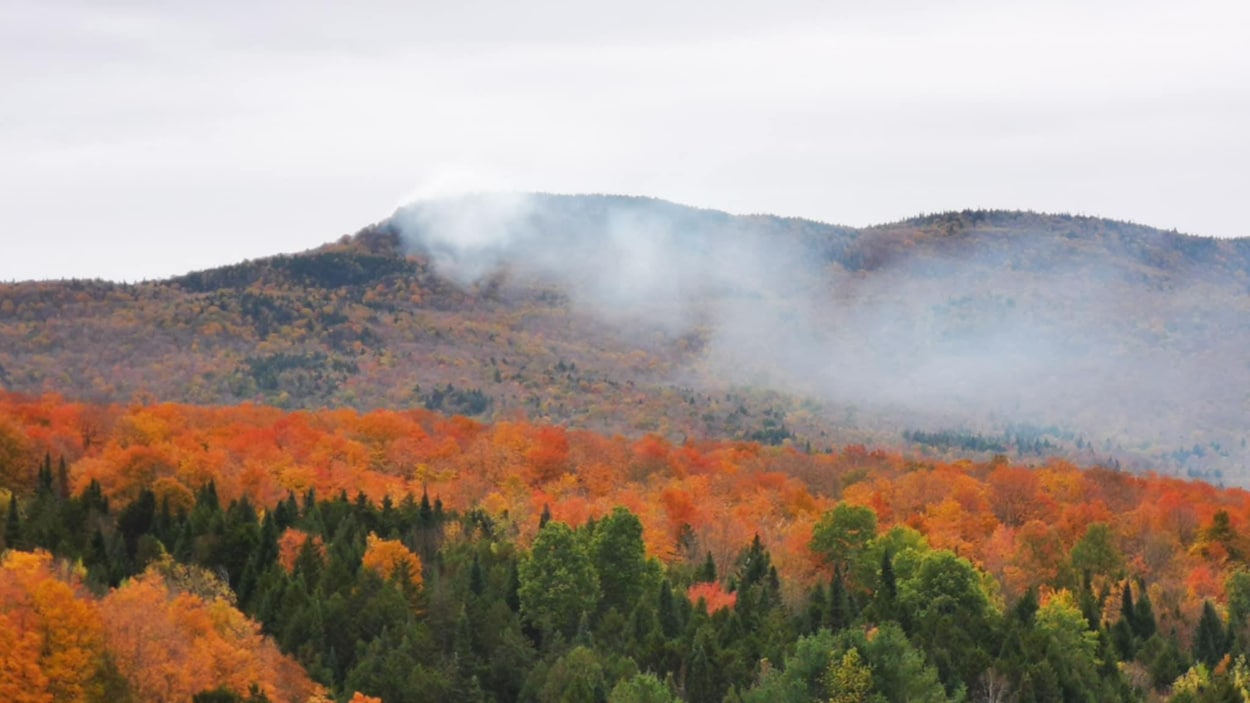 L’heure est à la sécurisation des sentiers au mont Écho
