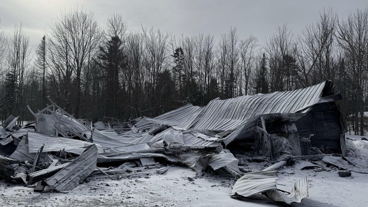 Votre Téléjournal Estrie du 8 février