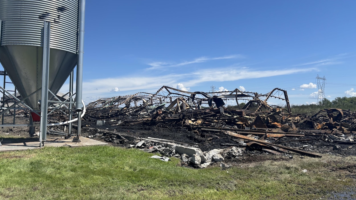 Incendie à Saint-Bruno : 32 000 poulets se trouvaient dans le bâtiment agricole