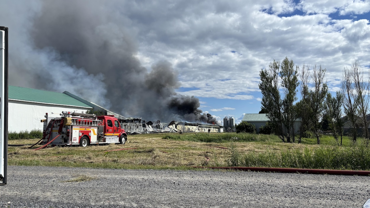Incendie majeur dans un poulailler du secteur de Saint-Bruno, à Hébertville
