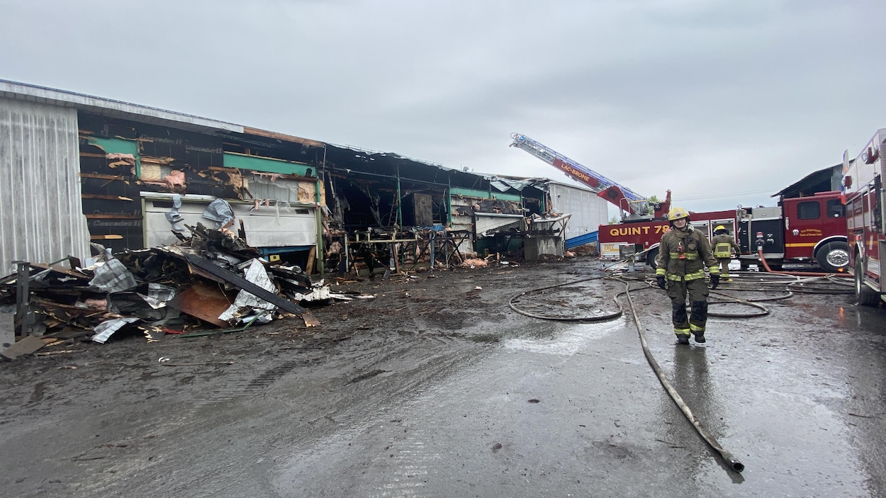 La scierie West Brome espère reprendre ses activités en juillet