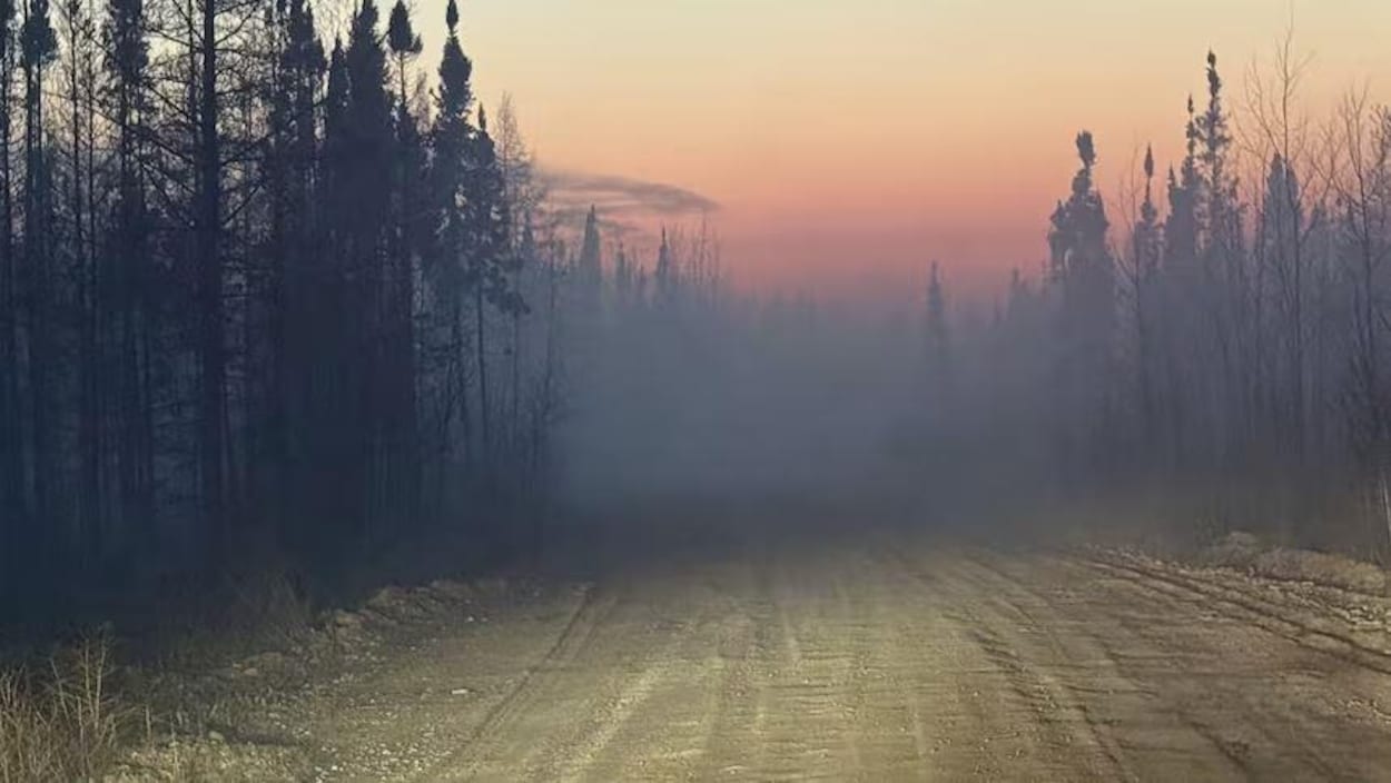 Des résidents de la Première Nation Weenusk évacués en raison d’un feu de forêt