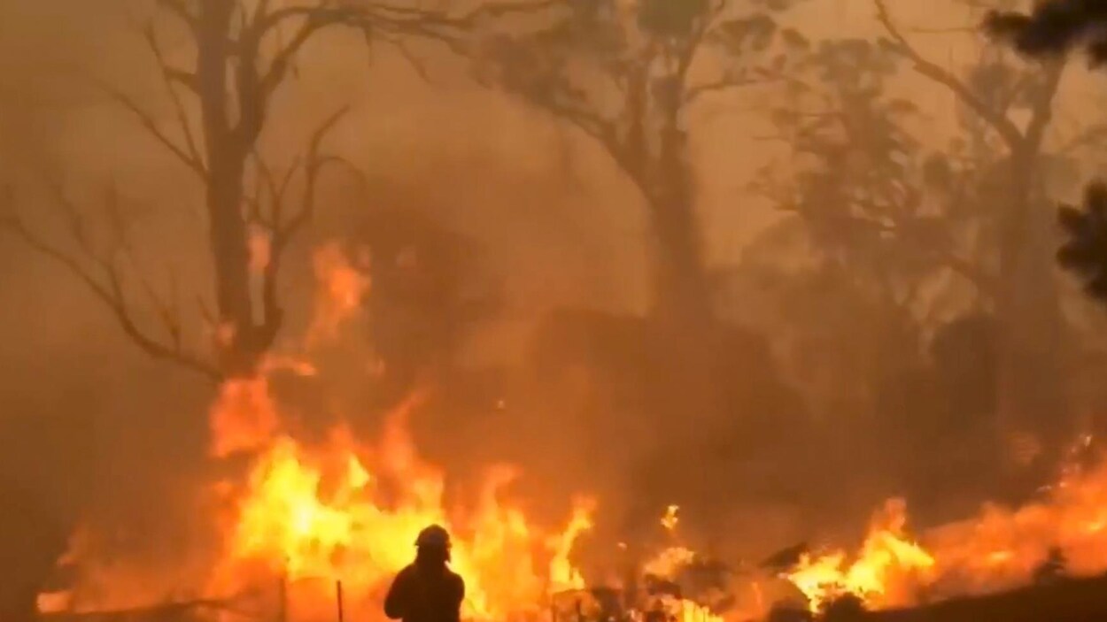 Un pompier fait face à un incendie de forêt