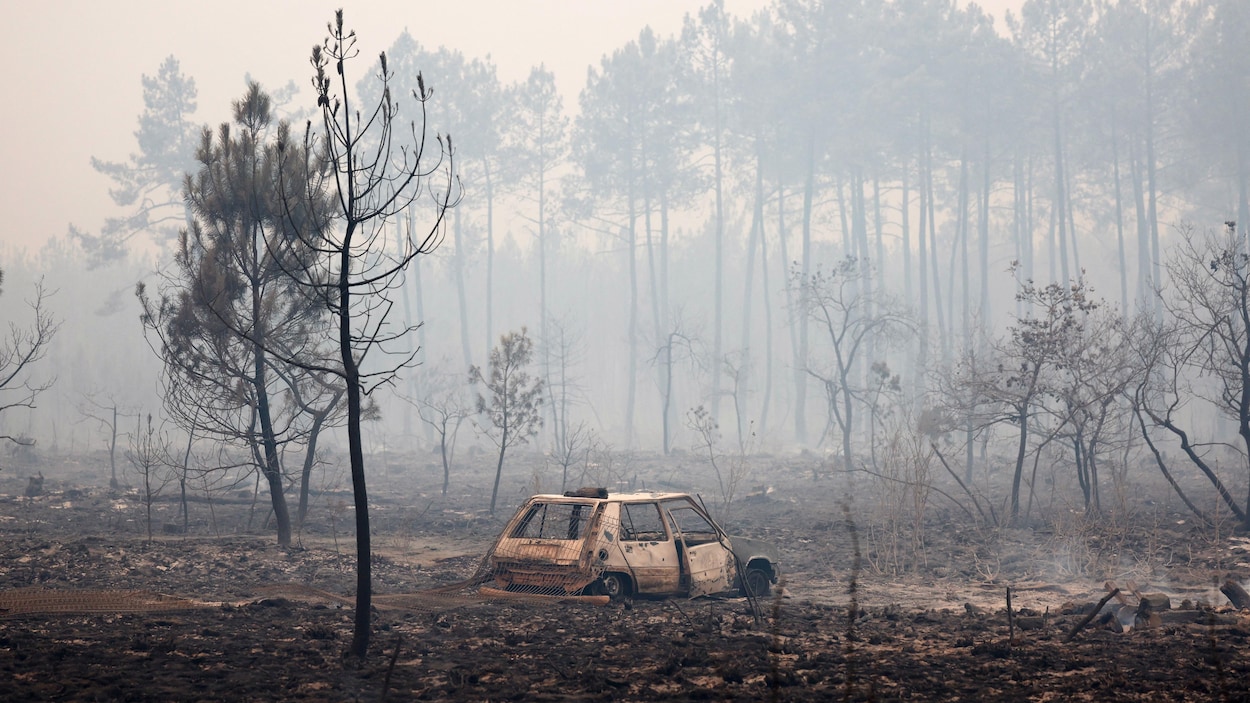 Violents incendies en Europe du Sud, des milliers de personnes évacuées