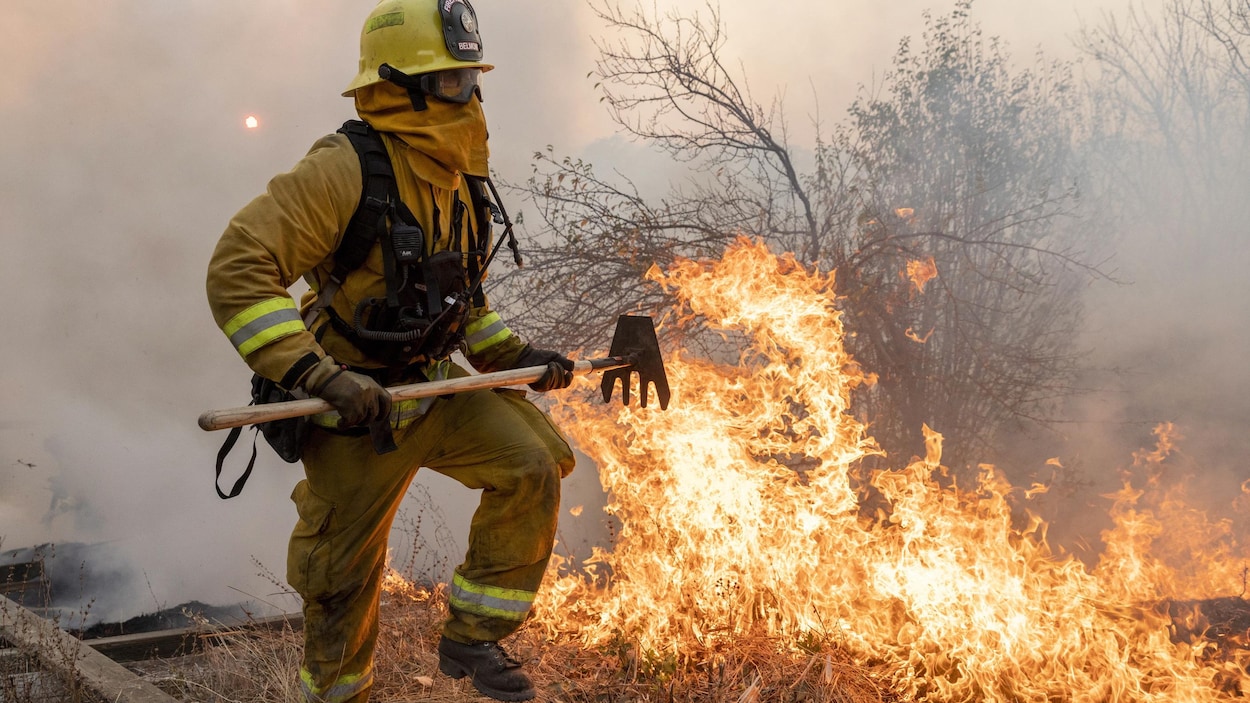 Un pompier tente d'éteindre des flammes qui ravagent la végétation.