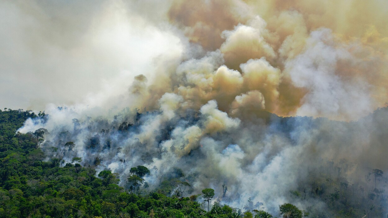 Vue aérienne d'une zone brûlée de la forêt amazonienne.