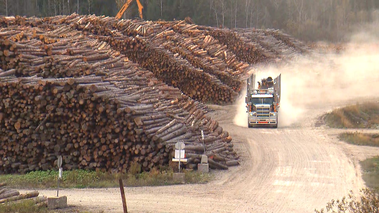L’industrie forestière salue la subvention annoncée par la Colombie-Britannique