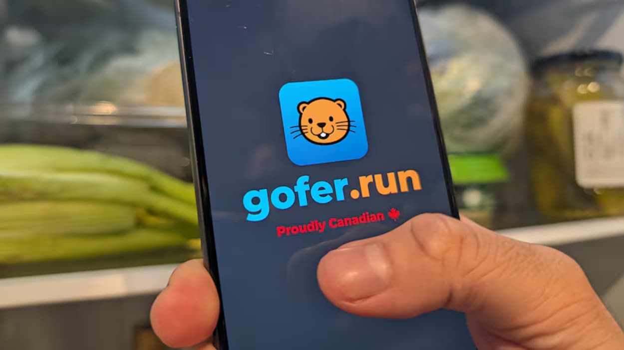 Gofer.run : une application de North Bay pour votre épicerie