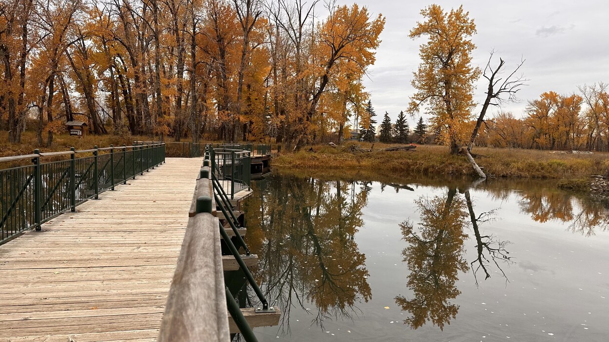 La réserve ornithologique Inglewood se renouvelle en restaurant les