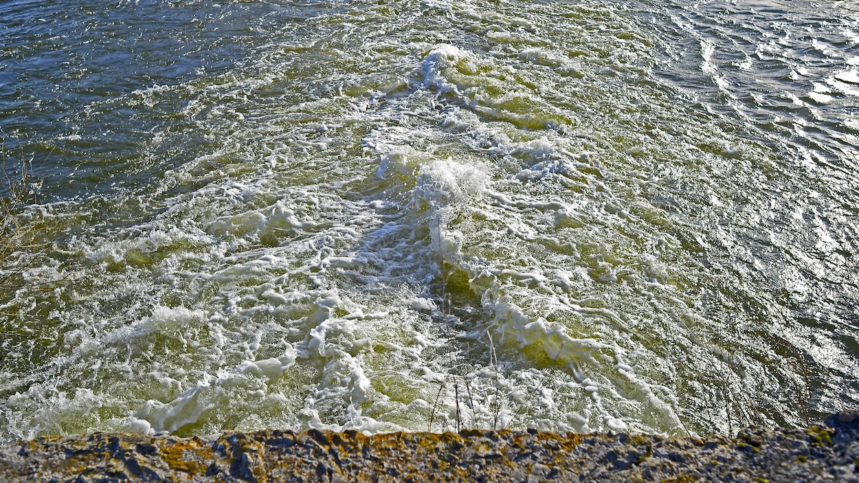 De l'eau qui bouillonne près de la rive