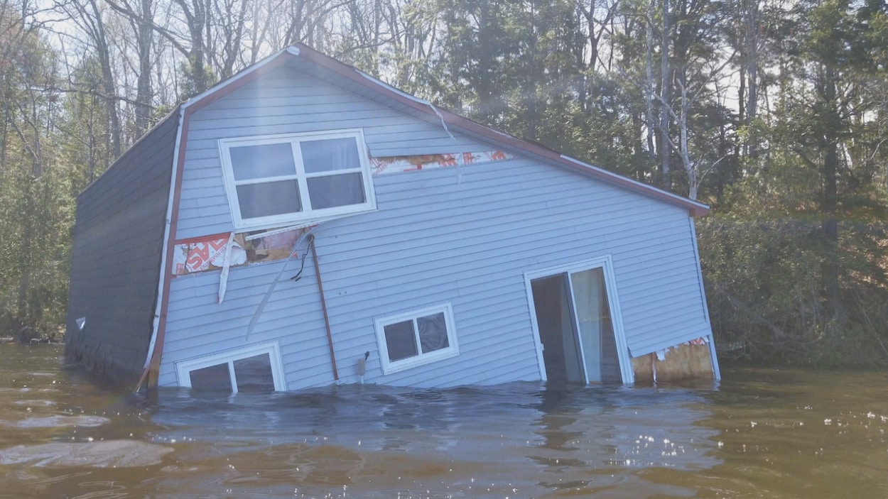 Un chalet flotte sur le lac tout près d'une berge boisée