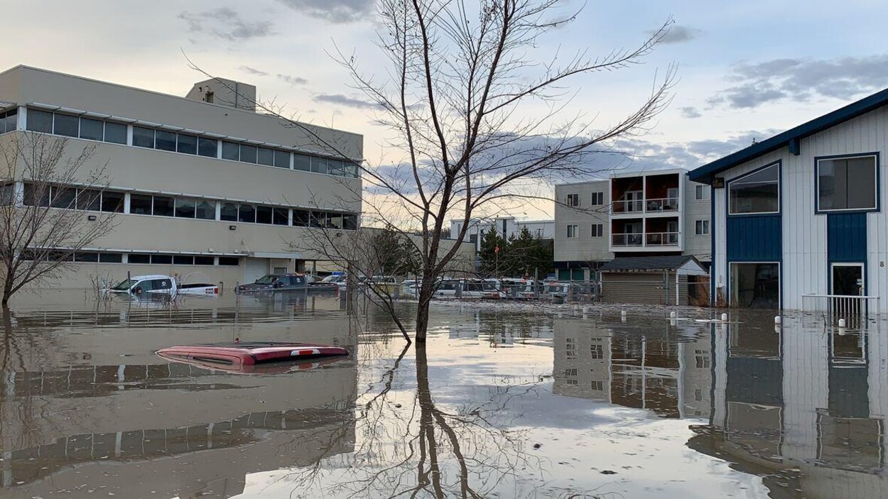 Le toit d'une voiture rouge apparaît sous l'eau. Il y a des arbres sans feuilles et des habitations.