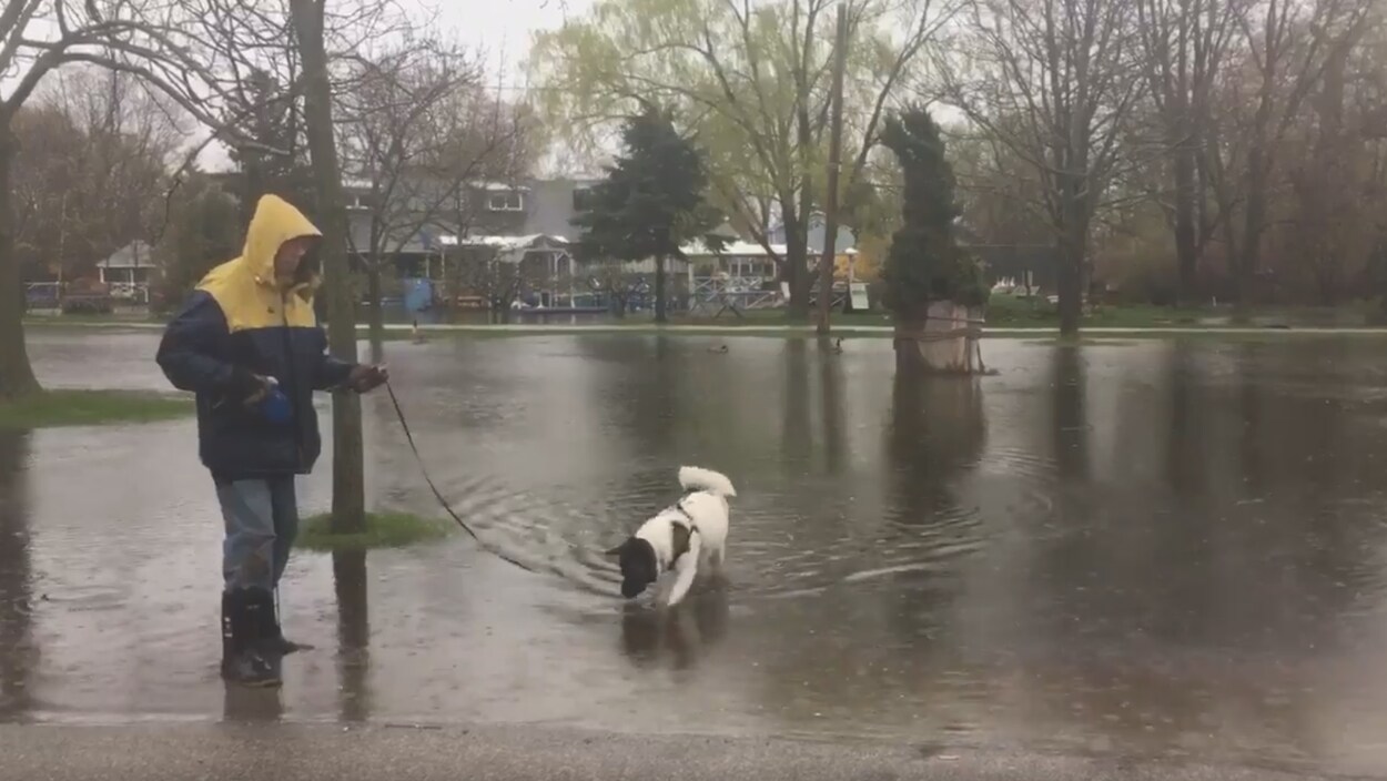 Photo d'un homme qui fait marcher son chien dans un lac d'eau sur les îles. Photo d'un homme qui fait marcher son chien dans un lac d'eau sur les îles.