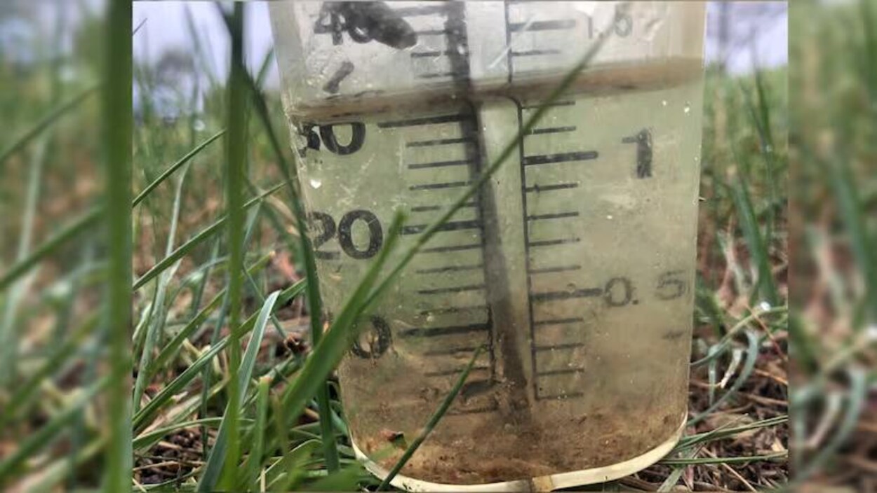 Des pluies record dans le sud-est de la province redonnent espoir aux agriculteurs