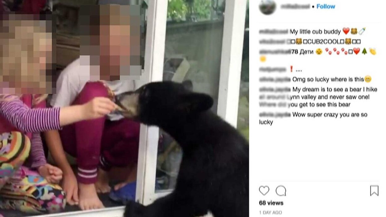 Deux filles nourrissent un ours noir. Deux filles nourrissent un ours noir.