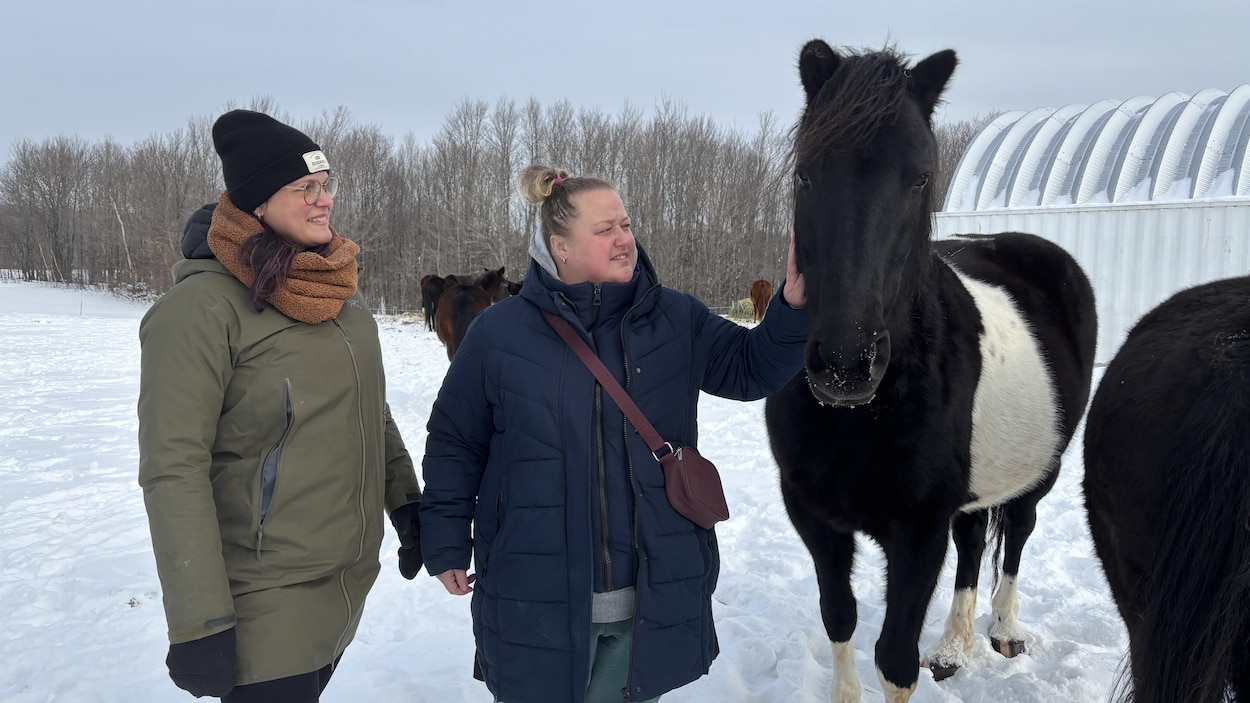 Des chevaux permettent à des victimes d’actes criminels de cheminer vers la guérison