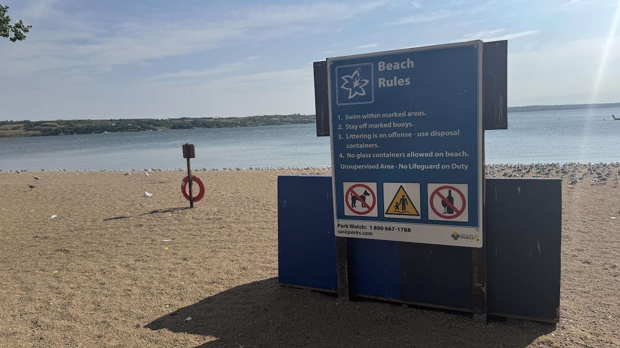 Un garçon de 8 ans retrouvé mort à Regina Beach