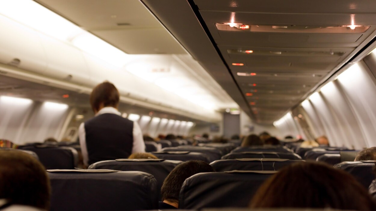 Une agente de bord vue de dos, debout entre les rangées de siège d'un avion de ligne.