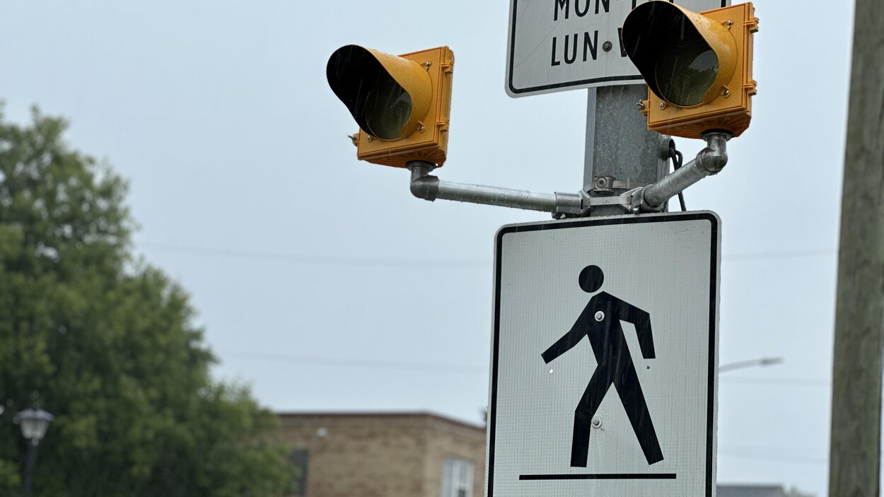 Winnipeg veut donner un départ d’avance aux piétons pour sécuriser les intersections