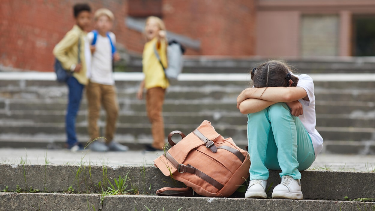 Cyberviolence chez les jeunes : la stratégie de l’Î.-P.-É. sous la loupe des élus