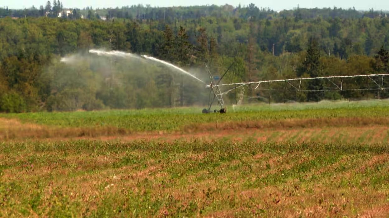Quel avenir pour les ressources en eau à l’Î.-P.-É.?