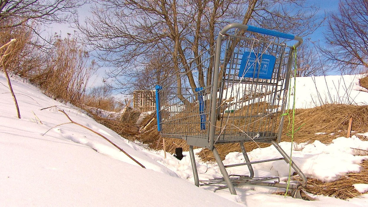 Plus de 100 Néo-Brunswickois sans domicile fixe ont perdu la vie en 2025