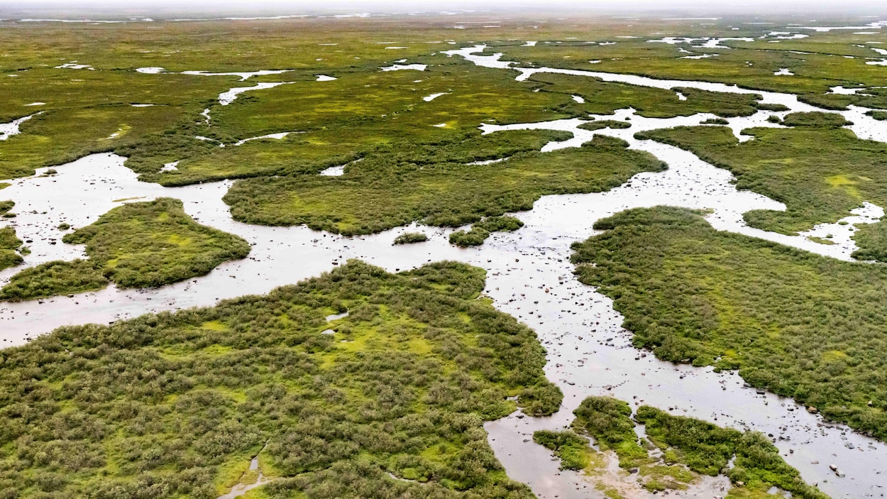 Le Manitoba investit 4 millions de dollars pour la protection de la rivière Seal