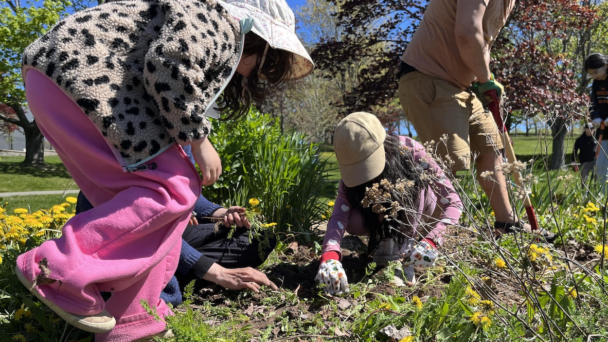 Cultiver ses légumes, mais aussi ses racines francophones