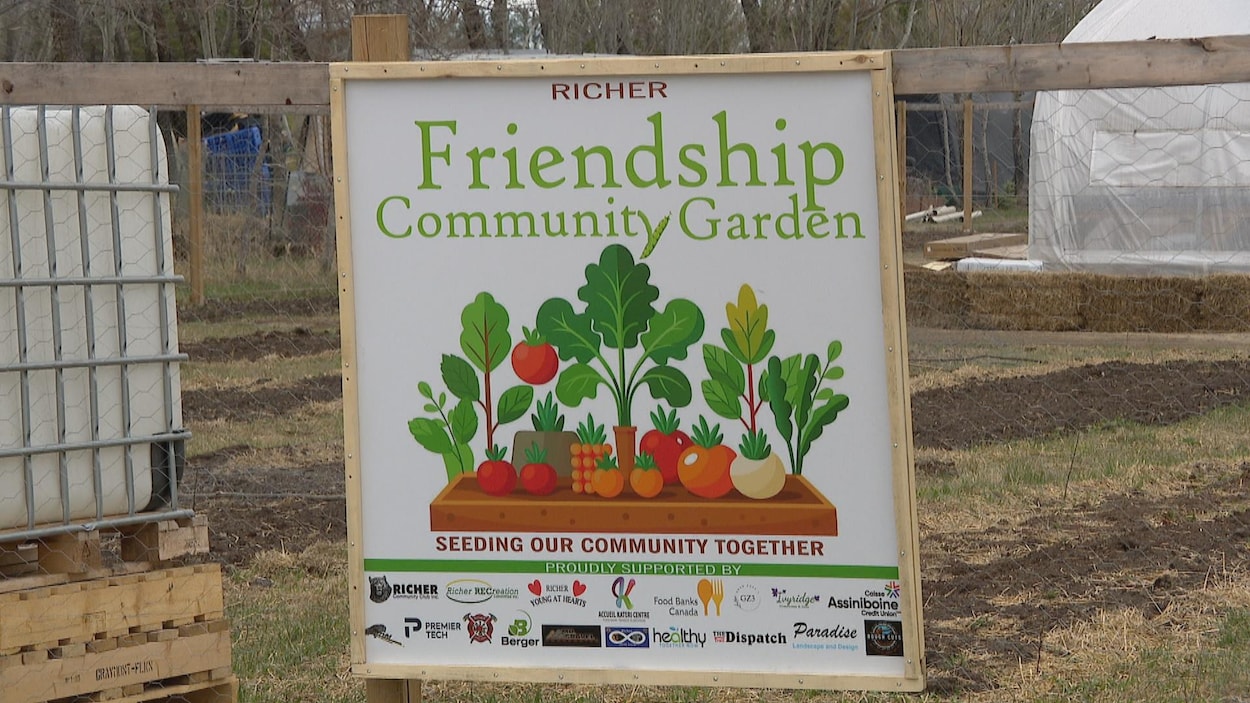 À Richer, un nouveau jardin communautaire nourrit une banque alimentaire