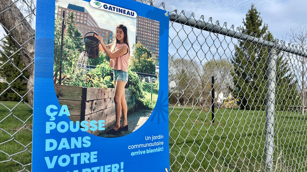 Un futur jardin communautaire qui pousse mal à Gatineau