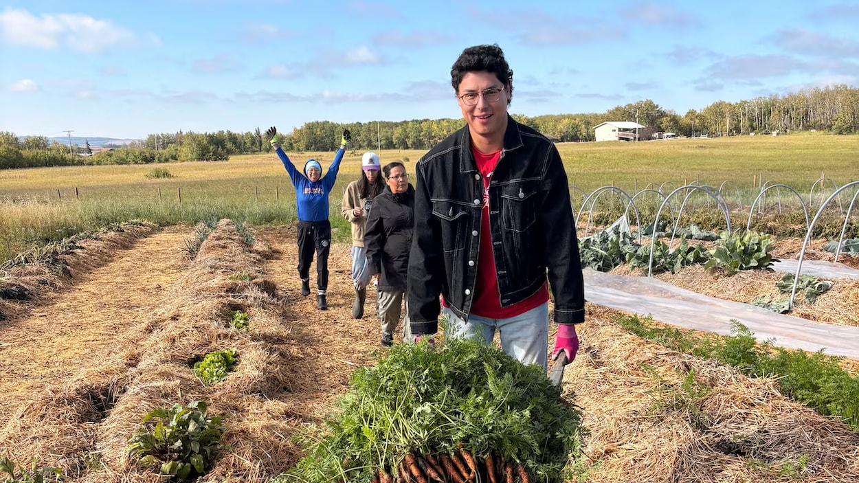 Le jardin communautaire de la Nation crie d’Onion Lake devient un lieu de transmission